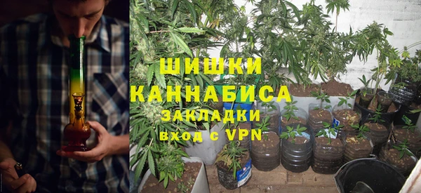 apvp Арсеньев