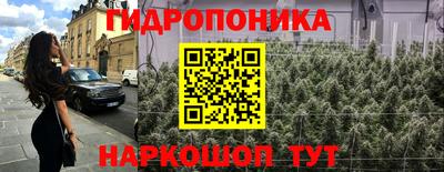 дживик Кимры