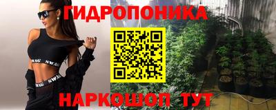 jwh Кандалакша