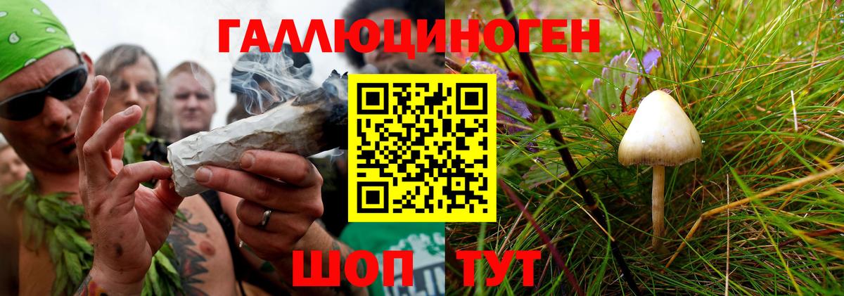 Галлюциногенные грибы мухоморы Майкоп