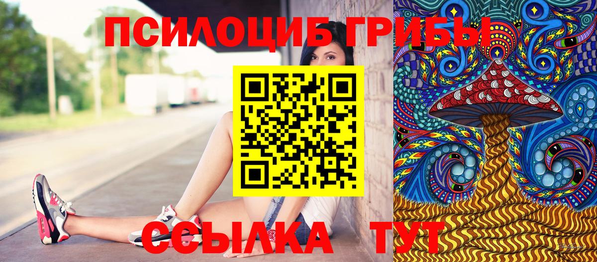 Галлюциногенные грибы Майкоп