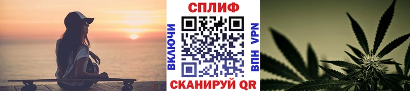 Каннабис SATIVA & INDICA  Майкоп 